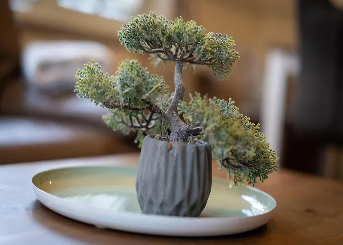 In St Peter-ording Appartement